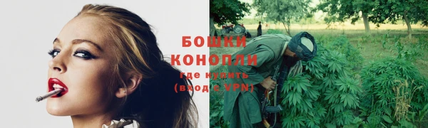 мяу мяу кристалл Корсаков