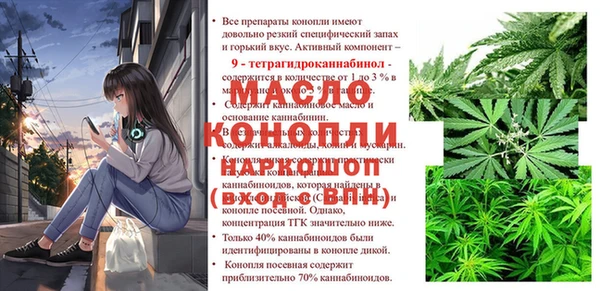 мяу мяу кристалл Корсаков